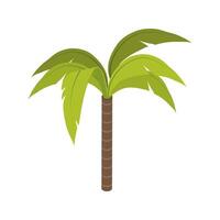 isometric tree palm vector