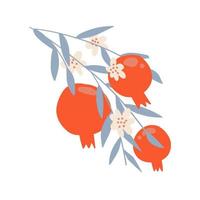 Pomegranate branch with flowers. leaves and fruits. Garnet icon is a symbol of healthy, rich life. Vector illustration is isolated on white background.