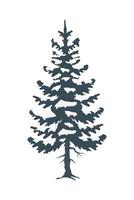 pine tree with snow vector