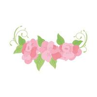 pink roses and leafs vector