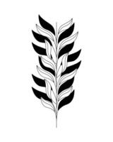 monochrome branch with leafs vector