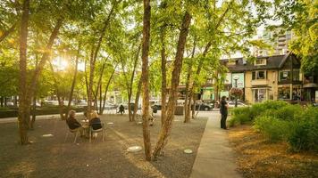 Secuencia de timelapse de 4k de toronto, canadá - parque en yorkville video