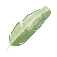 tree leaf palm vector