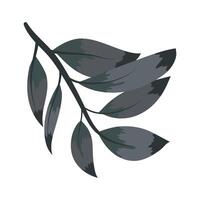 leaves elegant plant vector