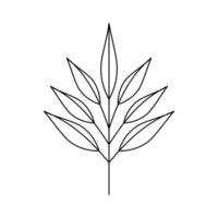 laurel branch with leafs vector