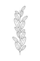 branch with leafs vector