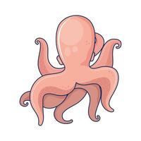 pink octopus animal vector