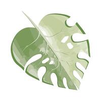 tropical and exotic leaf vector