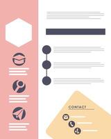 curriculum vitae pink template vector