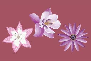 three exotics lilac flowers vector