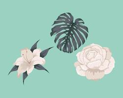 elegant leaves and flowers vector