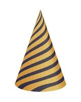 golden spiral party hat vector