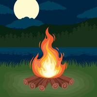 campfire in night landscape vector