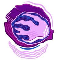 Bright vector isolated abstract illustration of red cabbage.
