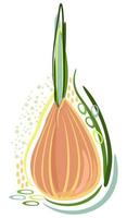 Vector isolated abstract illustration of onion.