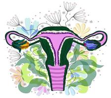 Woman reproductive system decorated with flowers. vector