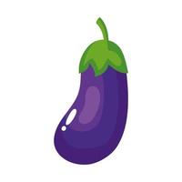 fresh eggplant vegetable vector