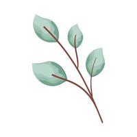 branch with leafs watercolour vector