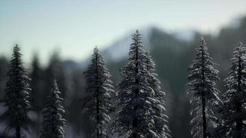 espectacular amanecer de invierno en las montañas video