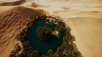 bovenaanzicht luchtfoto van oase in woestijn video