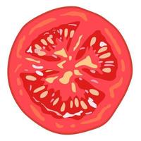Tomato slice. Vector isolated illustration.