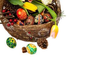 Easter eggs in wooden basket. Spring flowers tulips. Basket with Easter eggs isolated on white background photo