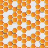 Abstract Geometric Shape Hexagon Background vector