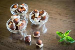 Seashells chocolates closeup photo