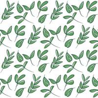 Botanical floral leaves seamless pattern. Floral pattern, Green leaves vector