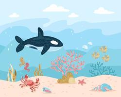Fondo de ilustración submarina de dibujos animados vectoriales dibujados a mano con fondo oceánico, arrecifes de coral, algas marinas, habitantes marinos, peces, ballenas asesinas, caballitos de mar, estrellas de mar, conchas, arena en ondas de agua azul vector