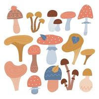 set of mushrooms vector