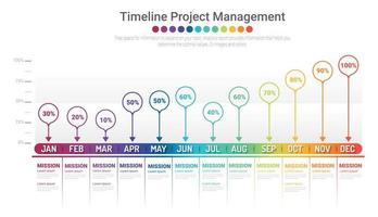 Project timeline graph for 1 year. vector