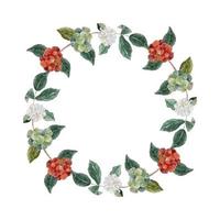 watercolor coffee branch berry wreath frame with copy space for text isolated on white background vector