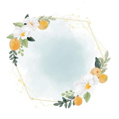 watercolor white flower and orange fruit wreath with golden geometry frame on splash background