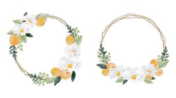 watercolor white flower and orange fruit wreath frame collection isolated on white background digital painting vector