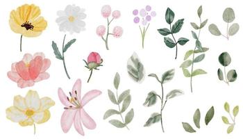 watercolor hand drawn colorful spring flower and green leaf elements collection isolated on white background vector