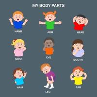 Illustration vector Cartoon kids pointing body parts, Pictures chart for learning, Isolated on gray background,