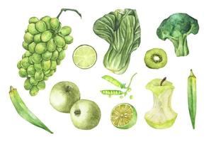 Green vegetables and fruit set. Watercolor illustration. vector