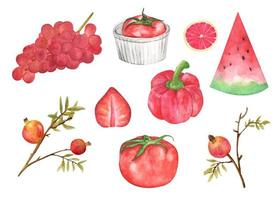 conjunto de frutas y verduras rojas. ilustración de acuarela vector