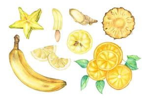 Yellow vegetables and fruit set. Watercolor illustration. vector