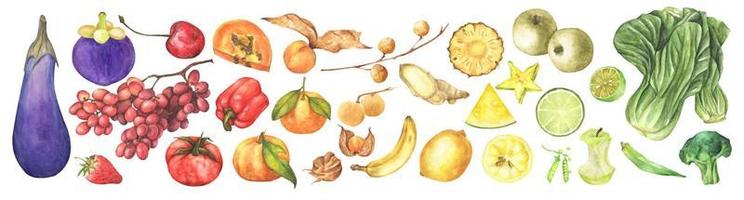 verduras frescas, frutas y superalimentos. ilustración de acuarela