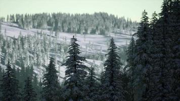 schöne Winterlandschaft in den Bergen