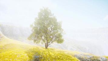 bela paisagem nebulosa na toscana video