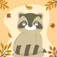 autumn raccoon in simple flat style vector