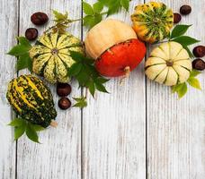 calabazas con hojas de otoño foto