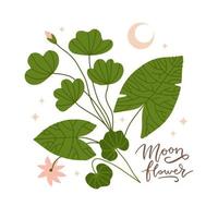 Branch with leaves, lotus flower and moon crescent silhouette with stars vector illustration. Boho style drawing for wall art poster print. Mystic concept design with lettering quote - Moon flower.