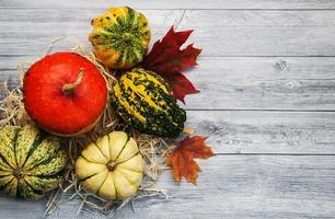 Pumpkins with autumn leaves photo