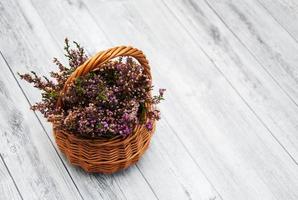 Heather flowers in a basket photo