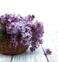 Lilac flowers on table photo