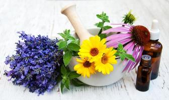 medical flowers in mortar photo